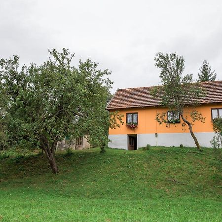 Appartement Kuca Za Odmor Jagnjic à Josipdol Extérieur photo