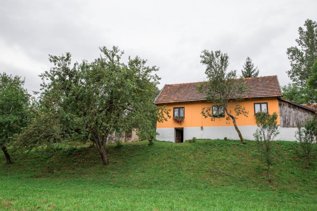 Appartement Kuca Za Odmor Jagnjic à Josipdol Extérieur photo