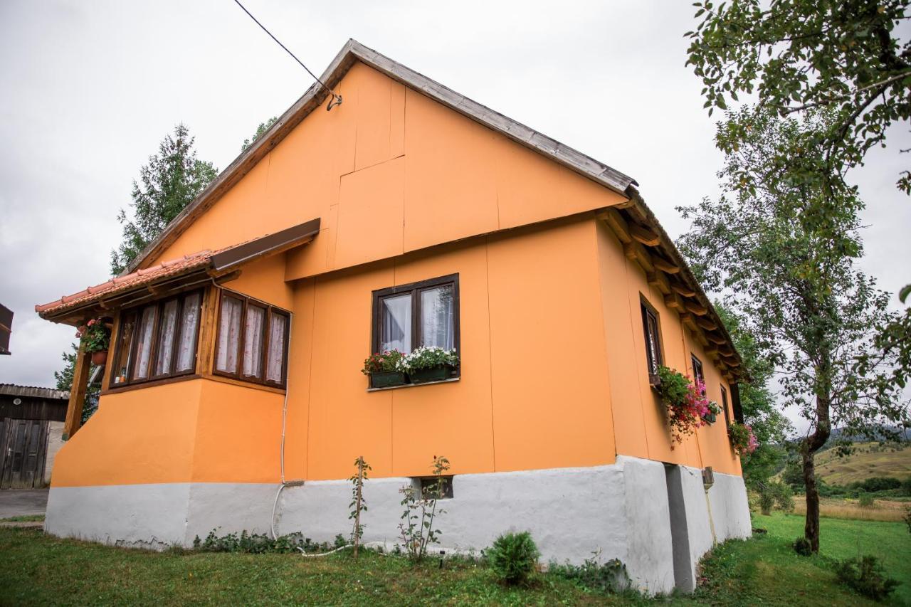 Appartement Kuca Za Odmor Jagnjic à Josipdol Extérieur photo